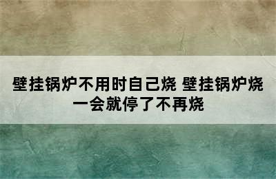 壁挂锅炉不用时自己烧 壁挂锅炉烧一会就停了不再烧